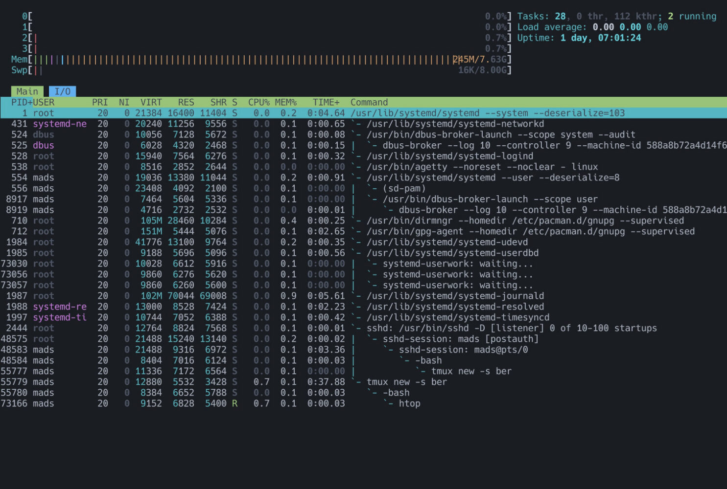 The CLI application Htop showing processes running on the host.